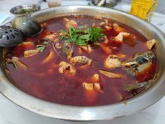 -重庆特色冷锅鱼(武大店)
