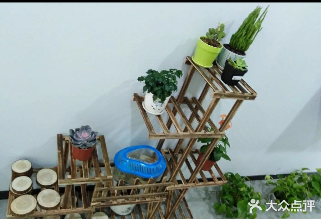 魔都遛娃必去[调皮]恐龙蛋蛋儿童之家
