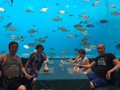 -瑞德姆美人鱼海底演艺主题餐厅(亚龙湾店)