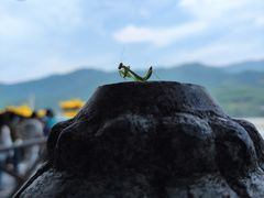 -严子陵钓台(富春江小三峡)