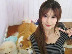 -汪说·狗咖·拼豆·宠物周边DIY(旺城大厦店)