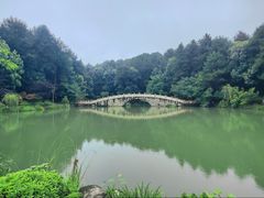 -铁山坪森林公园