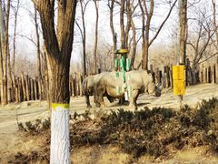 -北京野生动物园