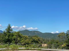 -马峦山郊野公园