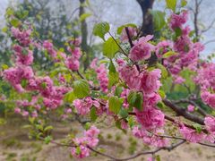 -元大都城垣遗址公园