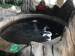 -青岛海泉湾度假区温泉