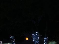 -金鸡湖景区