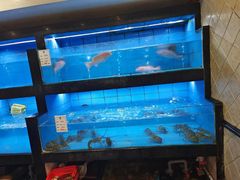 -石浦大酒店(百丈店)