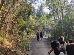 -五凤山森林公园