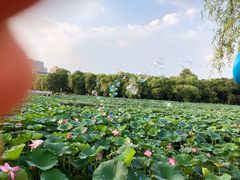 -长春市南湖公园