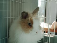 -小意思咖啡店(草桥店)