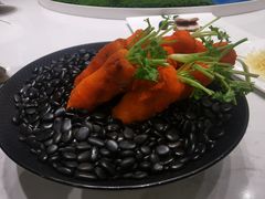 -丁老爷子苏香圆