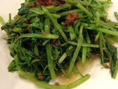 空心菜-鹿港小镇(黄金店)