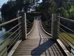 -铁山坪森林公园