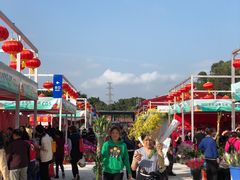 -深圳市罗湖体育馆