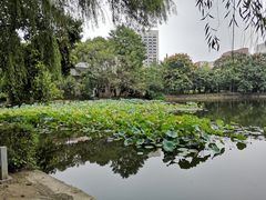 -西南交通大学(九里校区)