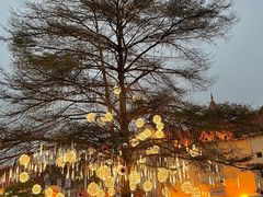 -爵士花园音乐酒吧餐厅