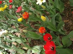 -长春公园(普阳街道)