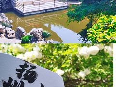 -何园