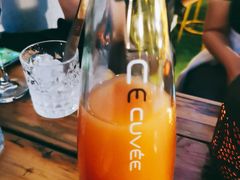 -Sirena海妖日咖夜酒