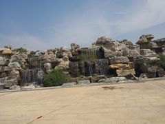 -石家庄市植物园