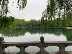 -百脉泉景区