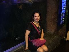 -暹罗海洋世界