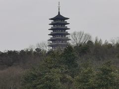 -宜兴龙背山森林公园