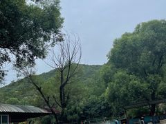 -双新垂钓园