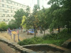 景点-紫荆山公园