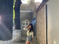 -北京国子监胡同