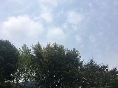 -德克士(砂之船奥特莱斯店)