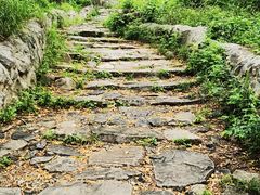 -阳台山自然风景区