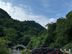 -黔灵山公园