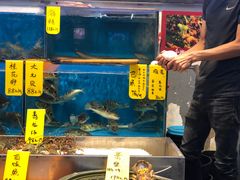 水产区-飞尝蚝·顺德菜·鱼生(顺德总店)