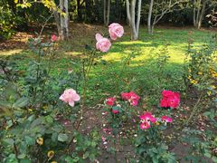 -HONGA HONGA雄家(曹路店)