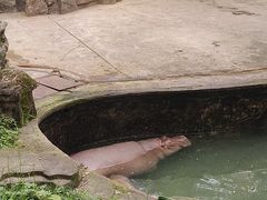 -重庆动物园·东二门售票处