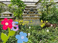 -南宫五洲植物乐园