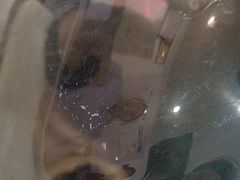 -宠颐生动物医院·心脏科·保险定点(锦阳分院)