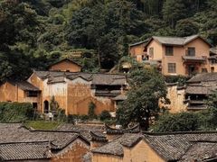 -杨家堂村