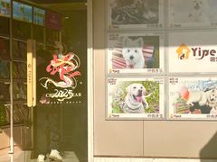 -翊宠yipet猫狗购宠庄园犬舍•猫舍