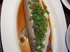 -绿茶餐厅(千岛湖银泰城店)