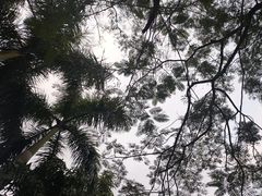 -深圳湾公园(南山区)