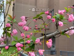 -苏州市相城人民医院