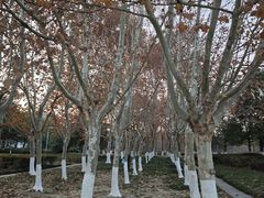 -白塘生态植物园