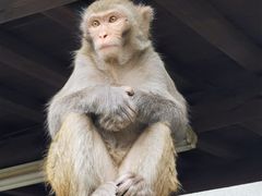 -千岛湖东南湖区