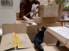 -猫的天空之城概念书店(杭州南宋御街店)