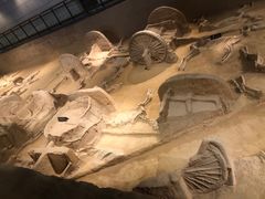 -洛阳周王城天子驾六博物馆