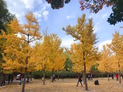 -汉堡王(北京通州领展店)