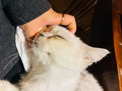 -普洱茶府(博乐广场店)